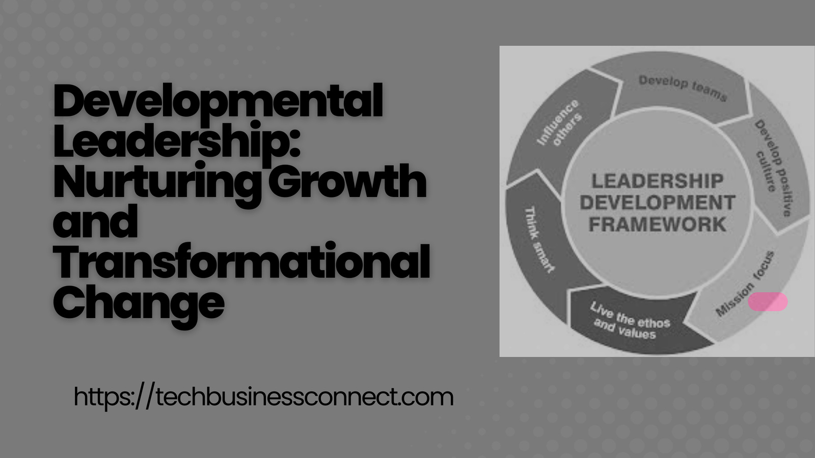 Developmental Leadership: Nurturing Growth and Transformational Change 2024